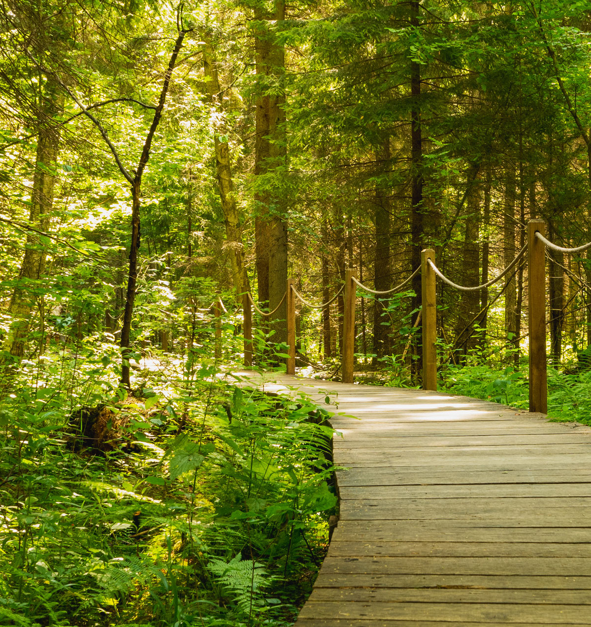 Protected Conservation Features